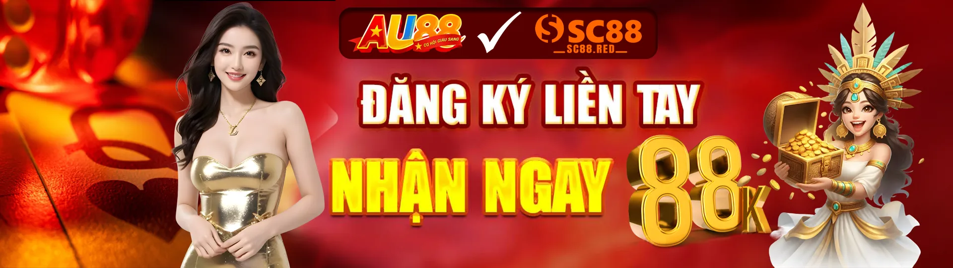 Banner SC88